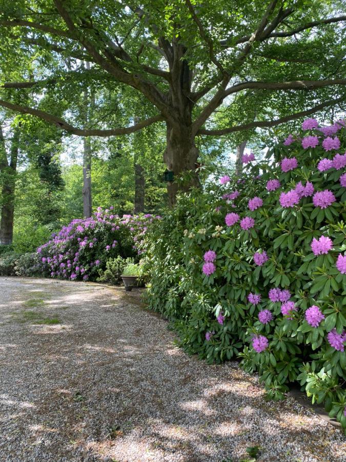 Bed And Breakfast Villa Beldershoek Hengelo  Extérieur photo